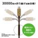 �^�C�vC ���C�g�j���O �P�[�u�� iPhone iPad �}���[�d �f�[�^�]�� �_���{�[ �`�[�� DANBOARD USB Cable Type-C to Lightning (50cm) CHE-272 �֘A�摜4