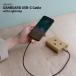 �^�C�vC ���C�g�j���O �P�[�u�� iPhone iPad �}���[�d �f�[�^�]�� �_���{�[ �`�[�� DANBOARD USB Cable Type-C to Lightning (50cm) CHE-272 �֘A�摜5