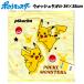 �^�I�� �|�P���� �E�H�b�V���^�I�� �n���h 34�~35cm �|�P�b�g�����X�^�[ pokemon �s�J�`���E