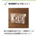 �t�[�h�Z�[�o�[ VS2200-040 FoodSaver �^��p�b�N�@ �^��V�[���[ �ƒ�p �t�[�h�Z�[�o�[ �^��p�b�N �H�i �X�^�[�^�[�Z�b�g �^��ۑ� �^�󃍁[�� �^��{�b�N�X �֘A�摜5