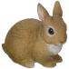 }Olbg PET BANK ybg oN RABBIT (ETM) 974 x[W