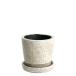  Dulton (Dulton) gardening supplies color gray zdo pot ivory S size bottom hole equipped COLOR GLAZED POT IVORY CH15