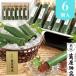  подарок на Bon Festival подарок конфеты сладости Kyoto . магазин .. столица. бамбук тубус вода бобовая пастила O.. ответ внутри праздник ... товар японские сладости маленький бобы фасоль адзуки набор подарок 
