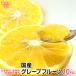  местного производства грейпфрут 10kg специальный культивирование Kumamoto префектура производство Кагосима префектура производство химия удобрение * убийца сорняков *. коррозия . не использование размер случайный .. кислота тест . сильный Dan can вид для бизнеса отправка период 4~5 месяц 