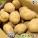  картофель 2L 4kg иметь машина культивирование Кагосима префектура производство Miyazaki префектура производство 1 шт 300g и больше нестандартный иметь машина JAS химия удобрение * пестициды не использование jagaimo лошадь колокольчик . местного производства дом для для бизнеса отправка период 4~6 месяц 
