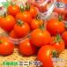  мини помидоры иметь машина культивирование 150g×6p Кагосима префектура производство рефрижератор рейс иметь машина JAS органический Petit Toma to... упаковка ввод пробный отправка период 6 месяц ~7 месяц . покупка 