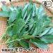moro разделение ya100g×10P иметь машина культивирование Кагосима префектура производство органический organic.....simatsunaso рефрижератор рейс отправка период 6 месяц средний .~8 месяц 