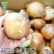  лук репчатый 16kg химия удобрение * пестициды не использование Кагосима префектура производство Miyazaki префектура производство Kumamoto префектура производство 1 шт 100~400gtama лук-батун лук шар лук порей oni on салат сырой обычная температура рейс onion отправка период 3 месяц ~6 месяц 