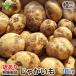  with translation new potato 18kg have machine cultivation Kagoshima prefecture production Miyazaki prefecture production B goods chemistry fertilizer * pesticide un- use horse bell . domestic production home for size incidental spring potato new jagaimo business use 