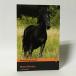 (Lv2)Black Beauty(Penguin Readers Level2)( иностранная книга : английская версия б/у )