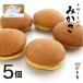  ручная работа dorayaki 5 штук японские сладости прошлое в то время как только зонт дом для eko упаковка ваш заказ гурман подарок упаковка заказ . входить .. из . конструкция . доставка 
