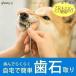  love dog * love cat for tooth stone taking . pincers dog tooth stone dental care Home care cat Pro . favorite 