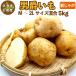  Hokkaido производство мужчина ... новый ...M~2L размер смешивание 5kg мужчина .imo мужчина . клубень картофель jagaimo бесплатная доставка есть перевод 