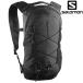  Salomon X чай 10 XT 10 LC2858500 черный 2026SS чёрный 10L