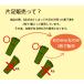 �y�K�b�c�}���z�y�Б��̔��z�l�C�̎��q���ܖ{�w�C�� FR-01 �Б�2���@�����Б����������J���l��  �i100km�s�R�Ή��j �֘A�摜2