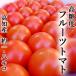  tomato height sugar times fruit tomato approximately 1.8kg Kochi prefecture night . block production . home use free shipping height sugar times sugar times 8 times and more middle sphere tomato high class present direct delivery from producing area .. domestic production 