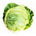 * капуста *1 шар * Kochi производство *
