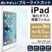 iPad վݸե 饹ե 8 7 6 ֥롼饤ȥå 2019 2020 9.7 10.5 11 12.9 Pro Air3 air3 mini6 mini5