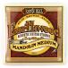 �A�[�j�[�{�[�� �� �}���h���� ERNIE BALL 2065 Earthwood Mandolin Medium Loop End 80/20 Bronze 10-36 Gauge �}���h������