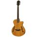 ARIA FET-F2 STBR electric acoustic guitar 