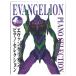  Evangelion фортепьяно * selection doremi музыкальное сопровождение выпускать фирма 