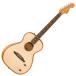Fender крыло Highway Series Parlor Rosewood Fingerboard Natural электрический акустическая гитара 