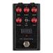 REVV Amplification  ץե G4 Anniversary ǥȡ ե
