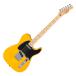 Fender крыло Standard Telecaster MN BPG BTB электрогитара Telecaster 