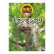  Studio Ghibli лучший сборник супер приятный .. фортепьяно Solo te Pro MP