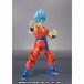 S.H.Figuarts ѡͥå ѡ¹ Ķ Х  ե奢꡼ ɥ饴ܡĶ   ̤