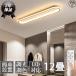  ceiling light LED 6~12 tatami Northern Europe stylish style light toning energy conservation ceiling lighting lighting equipment indirect lighting living lighting interior peace . remote control attaching construction work un- necessary .. sealing 