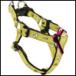  имя . номер телефона . печать возможность чай время ID Harness желтый BIRDIE Birdie 