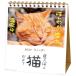 2027 Calendar настольный календарь 2027 год день топорик ... кошка ...ske Jules .. животное фотография вписывание интерьер . мир 9 год календарь 
