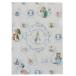  Peter Rabbit книга с картинками герой прозрачный папка -A4 прозрачный файл листовка S&C