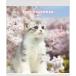 2027 Calendar настенный календарь 2027 год CAT wall календарь ske Jules .. животное фотография вписывание интерьер . мир 9