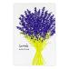  открытка 1 листов ввод Hakuoshi Botanical POSTCARD Futaba лаванда 