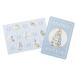  Peter Rabbit книга с картинками герой письмо комплект da ikatto Mini письмо . покупка 