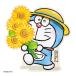  Doraemon DRsiyochiyuuJSP 31-4da ikatto карта поздравительная открытка summer hi вокруг глициния .F не 2 самец сообщение карта . покупка 