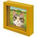  картины с изображением животных нить ... Mini Mini box рама . клей You энергия . покупка 