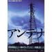 [ антенна ] Япония театр постер *B2/ медведь порез мир . постановка 