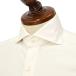 BARBA[ bar ba] Hori zontaru wide color shirt BRUNO U07413 cotton oxford eggshell white 