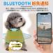 2026�V�^ �y�b�g�pGPS GPS���M�� iOS/Android�Ή� ���z�s�v �����Ή� ��� �L �� �L�p�g���b�J�[ ���^�L�pGPS �g���b�J�[ ���p �y�b�g�p�g���b�J�[ �֘A�摜5