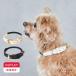 �� ��� �J���[ ���� ���^�� �y�b�g ������� �u�����h ���� �y�� �L�k �n�[�l�X ���� 2���� �b citydog �V�e�B�h�b�O �b�V�e�B���[�v �J���[