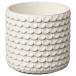 IKEA Ikea горшок покрытие 4 номер белый 12cm m20632813 GLACIARBJORNglasie- рубин .-n