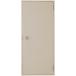  long цвет flash дверь Flat Ran ma нет внутри есть type 0618 W:600mm × H:1,841mm LIXIL Lixil TOSTEMto вынос руля 