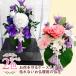 ���� �v���U�[�u�h�t�����[ �������� �͂�Ȃ��� �����d �������� ���ފ� ���d���� ������ �o�� �ԕr �v���[���g �C���e���A ���� �M�t�g