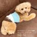 �u���{���v ���̕� ���� ���p ���^�� ��� �� �{�[�_�[ �A�C�X�N���[���� �h�b�O�E�G�A  �h�J ���� �� ��[�΍� �~ �������� �u���b�s���O(�L���j�v �֘A�摜4