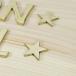 �^�J  �S�[���h �X�^�[ �� 33mm �� �X�^�[ �Ŕ� �\�D �l�[���v���[�g �c���[�n�E�X �l�R�|�X ���[���� �֘A�摜2