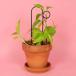 botanopia(botano Piaa ) растения для .. минивэн p1 шт золотой черный растения фигурная скобка модный фигурная скобка меньше принадлежности для садоводства за границей смешанные товары 