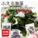 fu.. seaweed dry . tortoise domestic production business use 30. seaweed salad piece packing water return The ru un- necessary small amount . convenience .... tortoise red .. moreover, blue .. moreover, white cloud ear thread agar-agar wakame seaweed ..